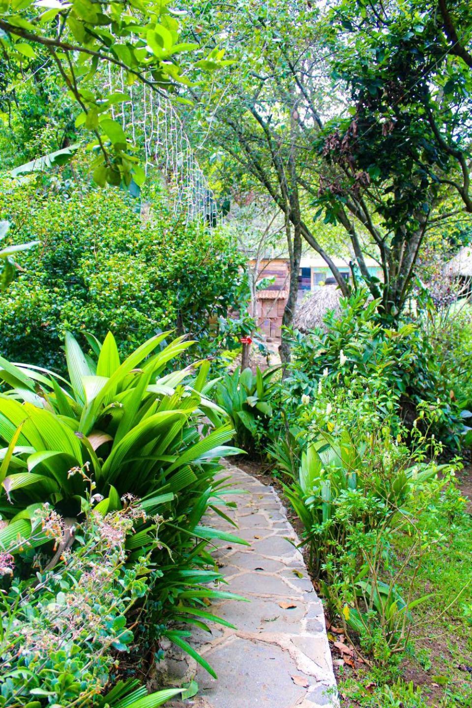 Eco-Hotel Mayachik San Juan La Laguna Kültér fotó
